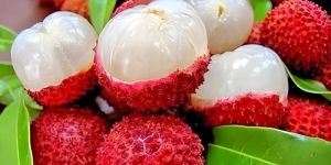 Fresh Litchi