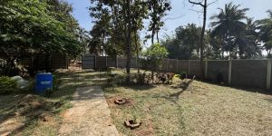 Commercial Construction