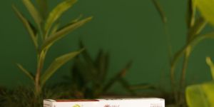 Abhi Eggs DOSE with Immunity Boosters - 24 Pack