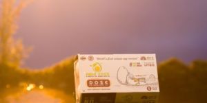 Abhi Eggs DOSE with Immunity Boosters - 6 Pack