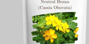 Organic Neutral Henna Powder