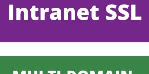 SSL Certificate for Internal Networks - Multi-Domain (SecureNT)