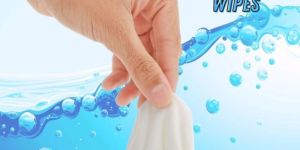 Bed Bath Wipes