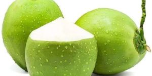 Green Tender Coconut