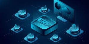 ERP Software Development Services