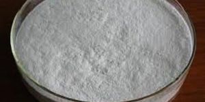 Rudra Customized Multistrain Pre Probiotic Blends