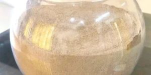 High Protein N10 Hipro Castor De Oiled Cake