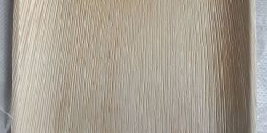 10 Inch Square Areca Leaf Plates