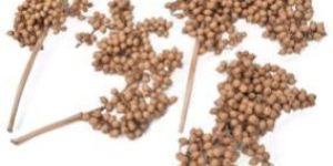 Canella Berry Dried Flower