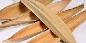 Coco Boat Dried Leaves