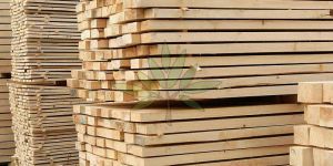 Pine Wood Planks