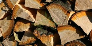 Seasoned Pine Wood