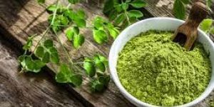 Moringa Leaves Powder