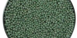 Trichoderma Harzianum