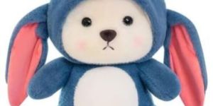Hoodie Teddy Bear Toy