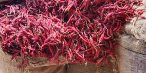 Dried Teja Red Chilli