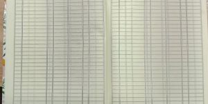 Ledger Book Register