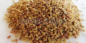 Alfalfa Seeds
