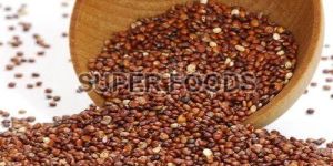 Red Quinoa Seeds