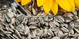 Sunflower Seeds