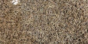 Brown Organic Cumin Seeds