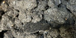 Cold Pressed Sunflower De Oiled Cake