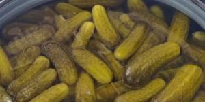 Pickled Gherkins