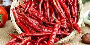 Teja Dry Whole Red Chilli