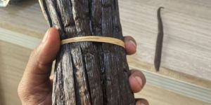 Grade a Vanilla Beans