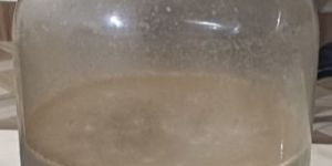 Agarwood Bouya Oil