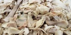 Bamboo Shoot Fermented