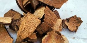 Coconut Shell Chips