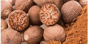 Nutmeg