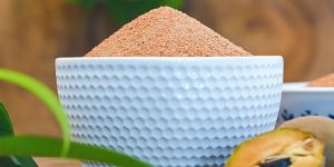 Spray Dried Chikoo Powder