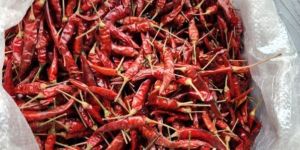 Red Chilli