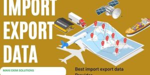 Import Export Database Service