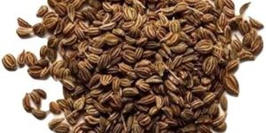 Carom Seeds