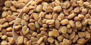 Regular Sortex Fenugreek