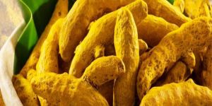 Dry Turmeric