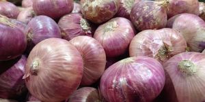 Fresh Red Onion
