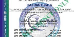 Iso 9001:2015 Certification Service
