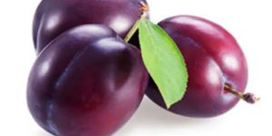 a Grade Fresh Plum