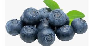 Fresh Organic Blueberry