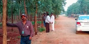 Red Sandalwood Farm Land