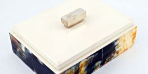 Horn Jewellery Box