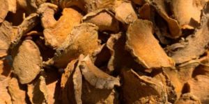 Lakadong Turmeric Dry Slices