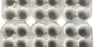 6 Cavity Paper Pulp Egg Tray