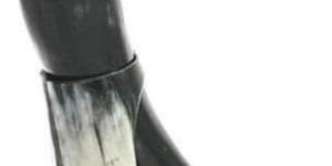 Viking Drinking Horn