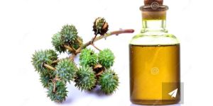 Castor Oil