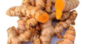 Fresh Turmeric Root